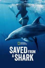 Assistir Filme Resgatados dos Tubarões online grátis