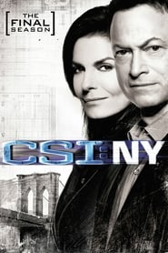 Assistir Série CSI: Nova York online grátis